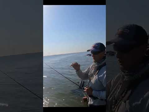 4 Best Lures for GIANT Speckled Trout!