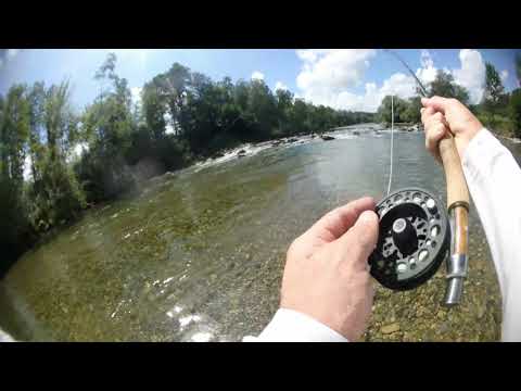Flyfishing for Barbel and chub fish