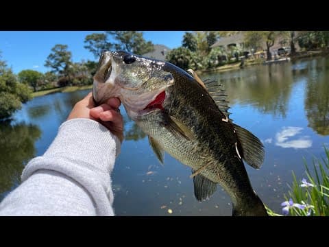 Pond fishing in Myrtle beach