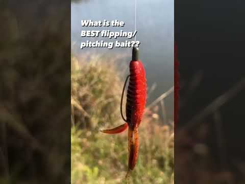 Best Flipping And Pitching Lure - Berkley Pit Boss