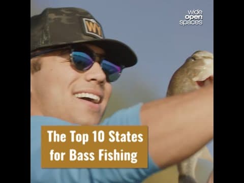 The Top Ten States For Bass Fishing