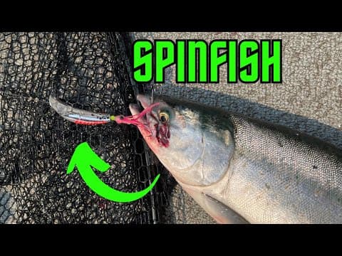 Unlocking Puget Sound Salmon:  A Complete YBC SpinFish Guide