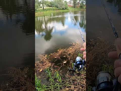 Fishing Tip for Fishing Line Memory