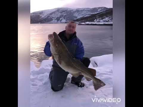 Fishing bodo