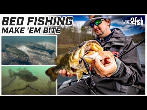 Bed Fishing Tips: Catch More Bass During Spawn!