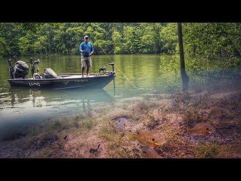 Why Finding Bluegills Can Lead to Better Bass Fishing