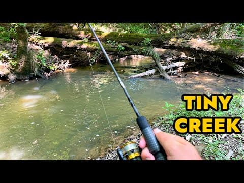 Simplified Creek Ultralight Fishing