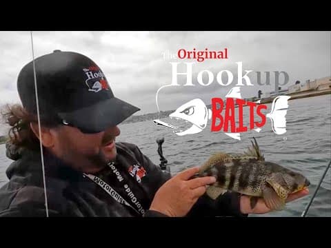 How to consistently catch bass @ San Diego Bay. part 1 (Main Channel)