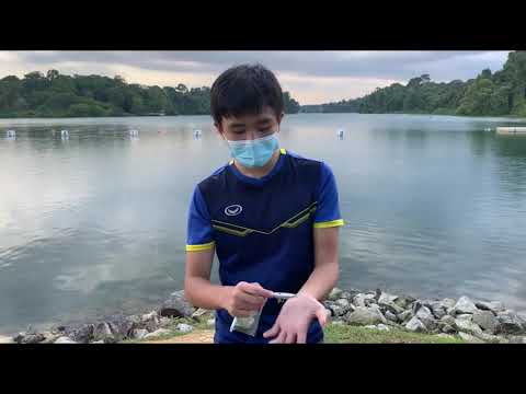 How to fish freshwater in Singapore for beginners