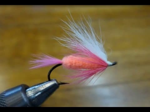 Fly Fisher   Polar Shrimp