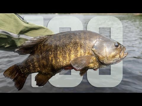 AMAZING BITE! 100 BASS FISHING with LURES &amp; JIGS!
