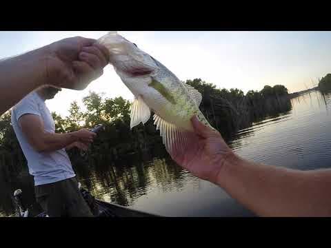 BASS FISHING on Cedar Creek lake. HUGE CRAPPIE!