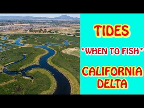 TIDES & WHEN TO FISH - CA Delta (Boat Positioning, Water Velocity, Shallow v Deep Waters): Part 1