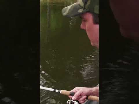 Do you prefer a reaction or finesse strike when fishing for bass?