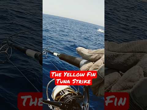 The Yellow Fin Tuna Strike | Offshore Fishing in Oman