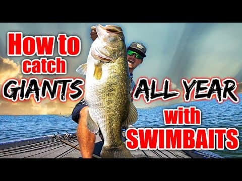 How to Catch Fish YEAR ROUND with Big Swimbaits! (BEST Bait for Each Situation)