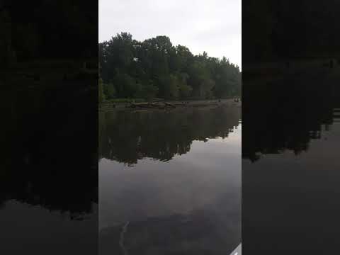 Fishing Stevens creek