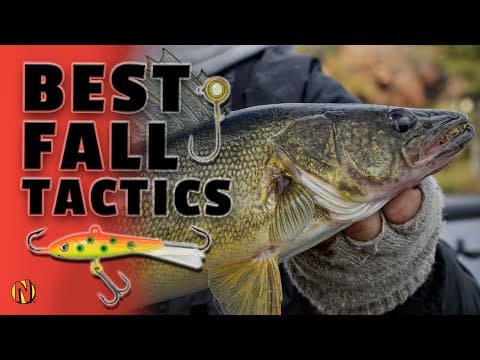 Best Fall Walleye Tactics (65 Degrees & Less)