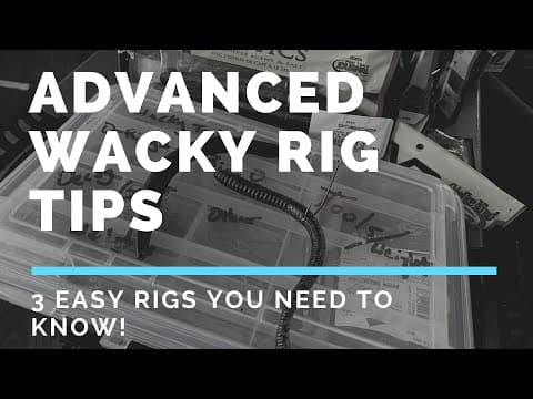 How to Catch Bass on a Wacky Rig/Neko Rig (Strike King Ocho, Senko, &amp; Straight Worm) Fishing Tip
