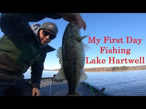 My First Day Bass Fishing on Lake Hartwell!