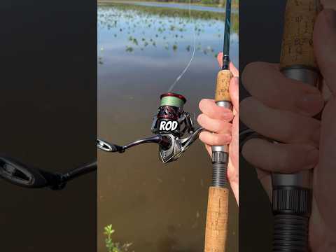 How to Choose a Fishing Rod! 🤫🎣
