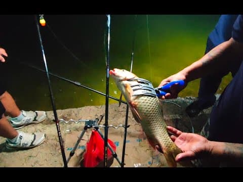Fishing in hong kong