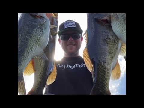 Dropshot fishing for BIG winter bass!