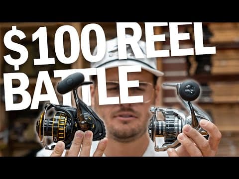 Best Fishing Reel for $100 | Daiwa BG VS Shimano Nasci