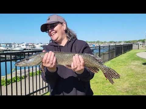 2023 port colborne Ontario Tina Schooley catching and releasing a 28&quot; northern pike may 27th, 2023