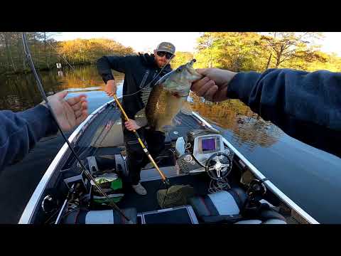 Fall Transition STRUGGLE on CHICKAHOMINY LAKE