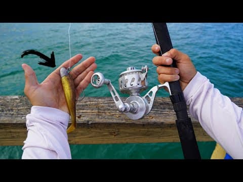 TARPON Fishing From PIER With Swimbaits