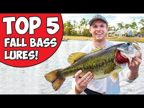 The 5 BEST fall bass fishing lures!!! (2020)