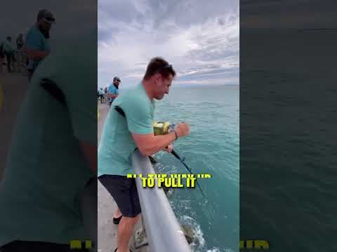 He Caught The Biggest Fish Ever!