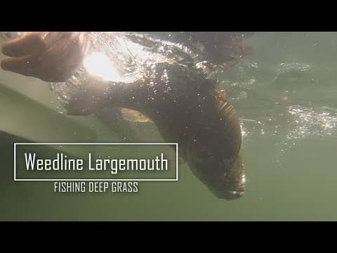 Fishing Deep Weeds for LARGEMOUTH BASS