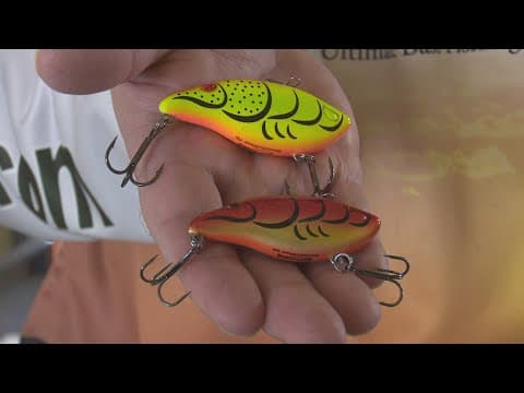 What Are The Best Lures For Fall Bass Fishing? | Bass Fishing