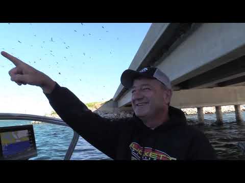 Devils Lake Walleye Fishing