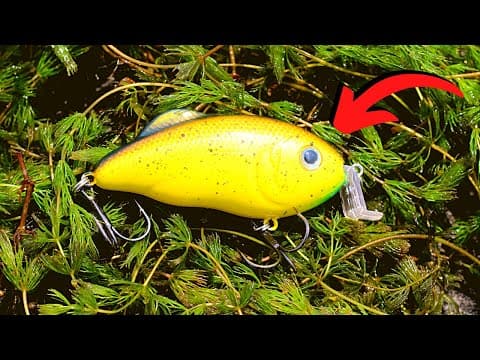 The BEST LURES For Fishing GRASS & WEEDS