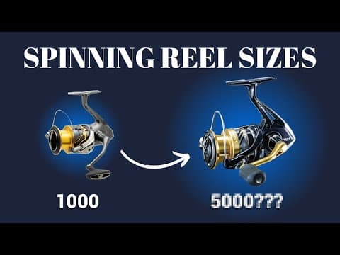 Explaining SPINNING REEL Sizes  (1000, 2500, 5000)