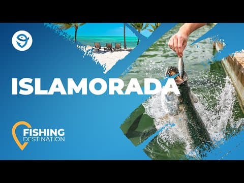 Islamorada Fishing: All You Need to Know | FishingBooker