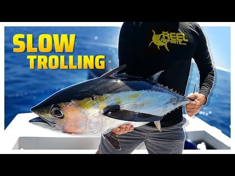 Trolling Fishing For Beginners