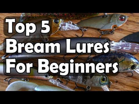 Top 5 Bream Lures For Beginners