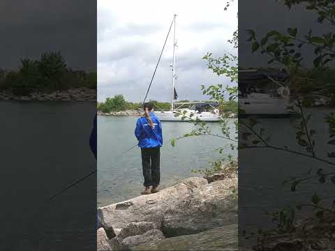 Lakefront Promenade Part 1 | Urban Fishing Locations
