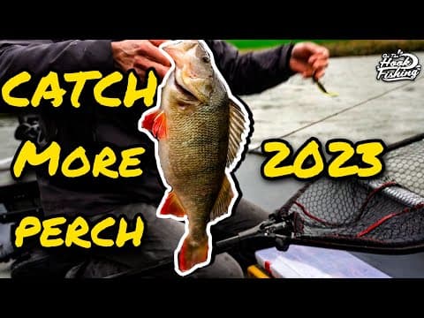 2023&#39;s BEST PERCH LURES REVEALED