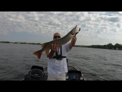 Ditch Fishing Charter -Chaumont Bay 2022 Smallmouth bass