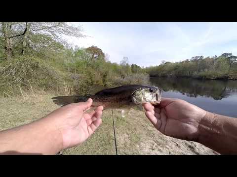 NC Bass Pond Fishing