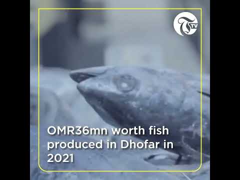 OMR36mn worth fish produced in Dhofar in 2021