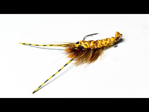 McFly&#39;s Foam Shrimp and Crayfish! - McFly Angler fly tying tutorials