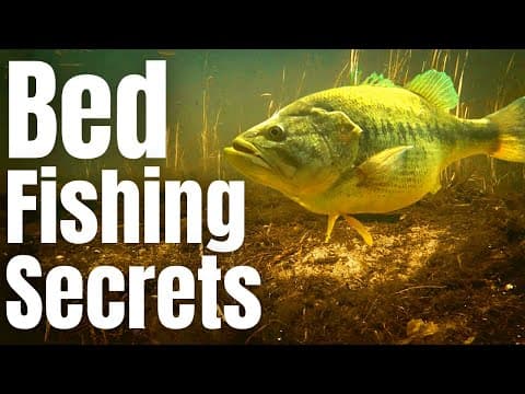 Start Catching MORE BASS Off The Bed With These 3 Tactics (The Bass Spawn)