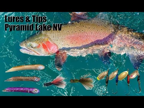 Pyramid Lake How To Fish Conventional Tackle from Shore and Catch the Worlds Largest Cutthroat Trout