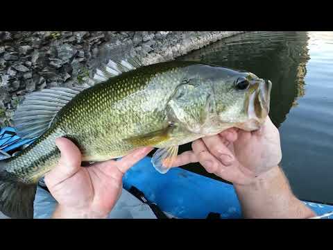 Epic Day Fishing the Legendary BONNIE Lake